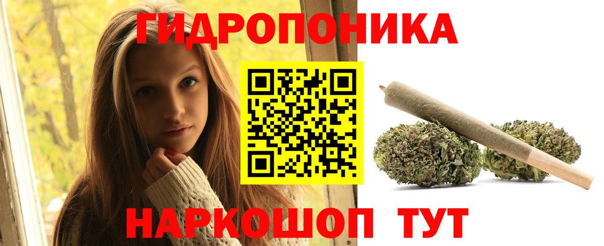 Бошки марихуана OG Kush Строитель